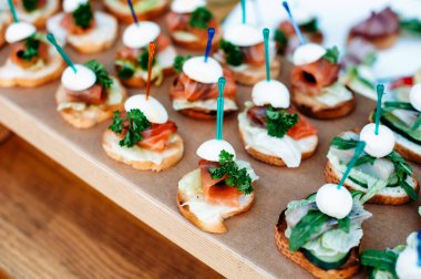 Delicious catering banquet buffet table decorated in rustic style in the garden. Different snacks, sandwiches with salmon, fish, greenery, eggs, mozzarella and pesto sauce. Outdoor, closeup.
