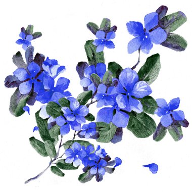 Klasik bir tarzda beyaz zemin üzerine suluboya mavi çiçekler