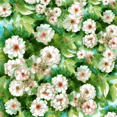 Sulu Boya beyaz briar klasik bir tarzda