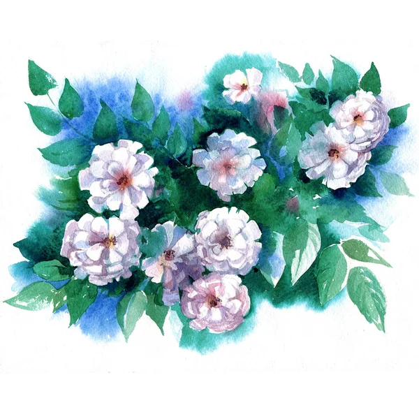 Watercolor white Briar in a classical style on a white background — Stock Photo, Image