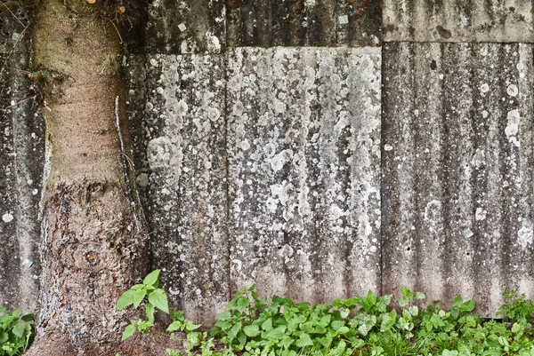 Bakgrund — Stockfoto