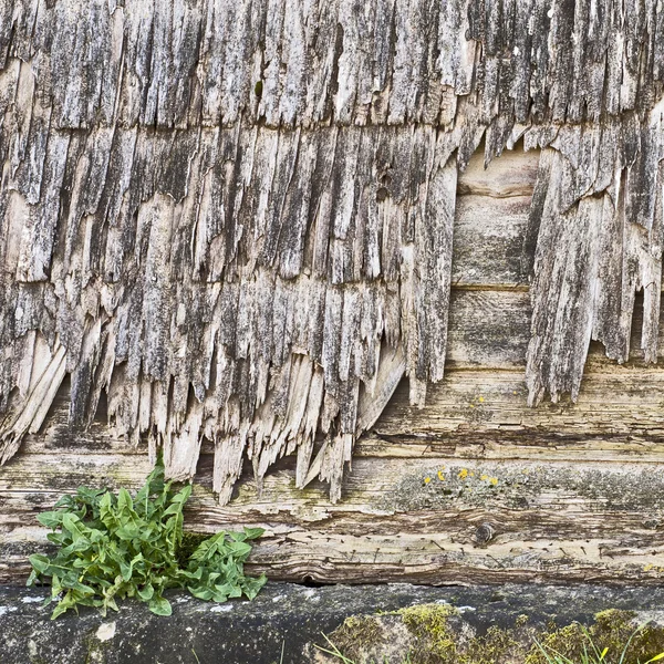 Bakgrund — Stockfoto