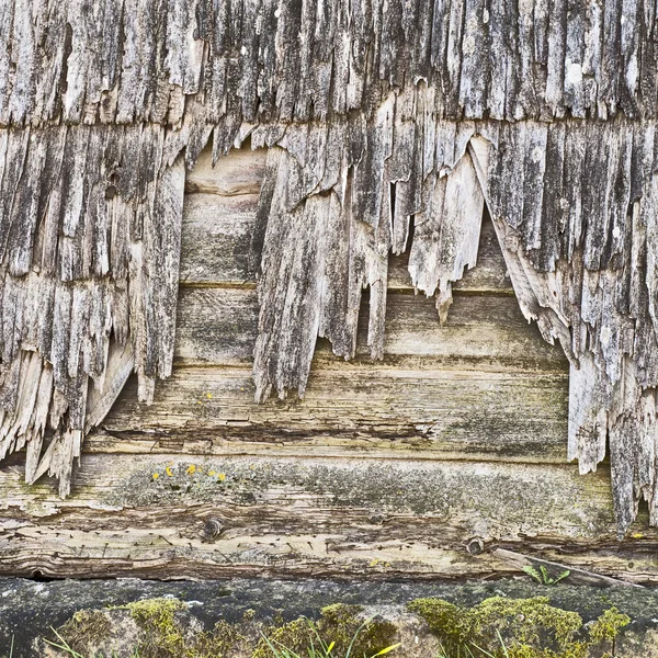 Hintergrund — Stockfoto