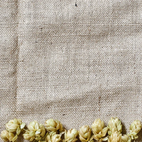 Hop border on the linen background — Stock Photo, Image