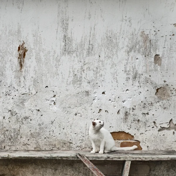 Contexto — Fotografia de Stock