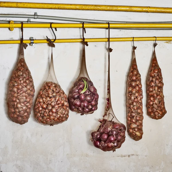 soğan boru, duvar arka plan asılı tayt