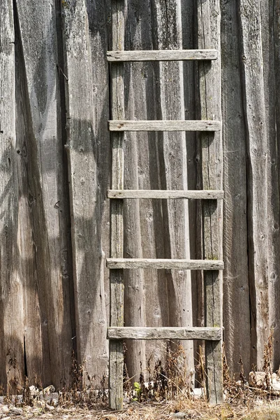 Houten ladder — Stockfoto