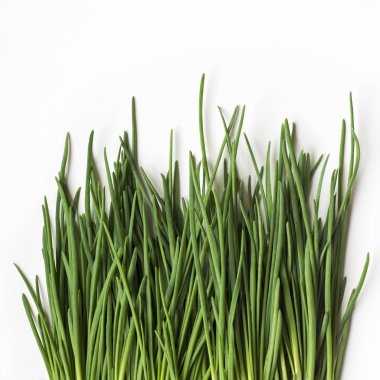 pencerenin yanında tencerede taze chives