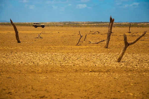 Guajira Wasteland — Stock Photo, Image