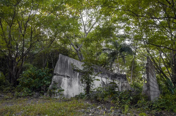 Ruinas de la selva — Foto de Stock