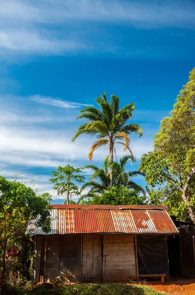 Oude shack — Stockfoto