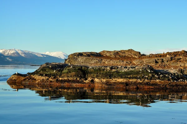 Beagle channel ostrov — Stock fotografie