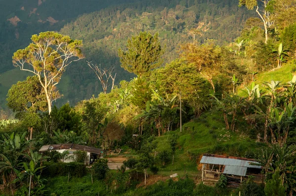 Campo colombiano — Fotografia de Stock