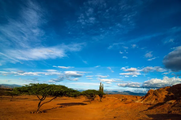 A Dry Desert Landscape — Stock Photo, Image