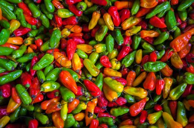 Colorful Chili Peppers clipart