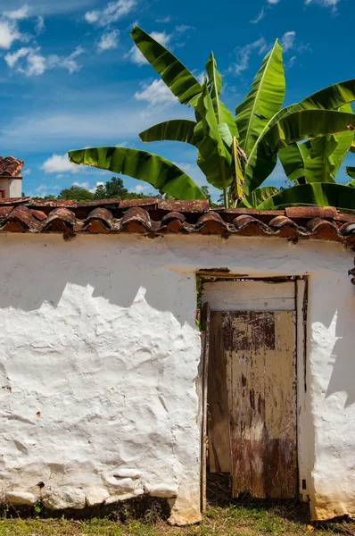 Old White Wall and Banana Tree — Stock Photo, Image