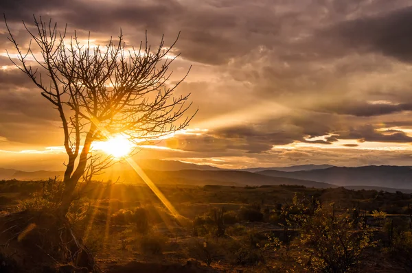 Espectacular amanecer en el desierto — Foto de Stock