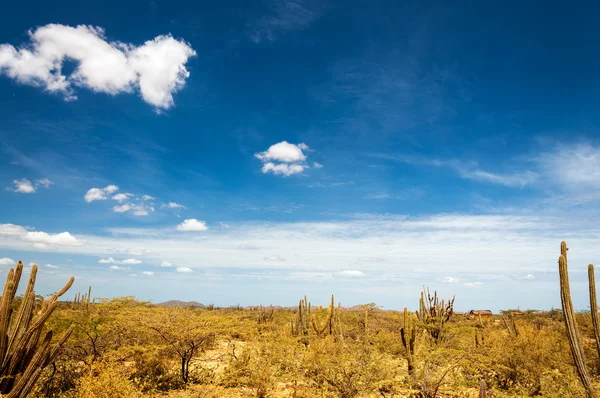 Desert Landscape with Deep Blue Sky — Stock Photo, Image