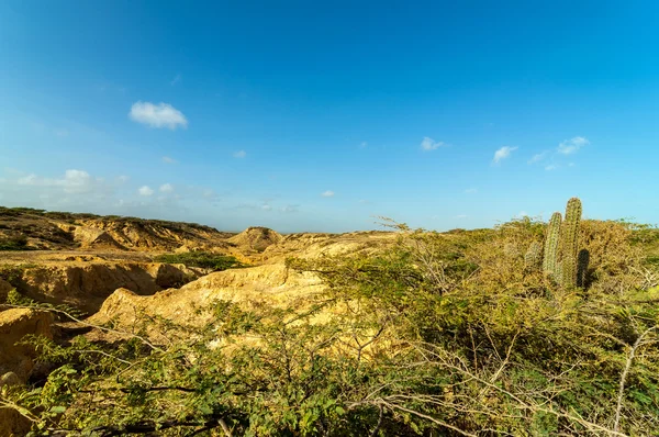 Ökenlandskap — Stockfoto