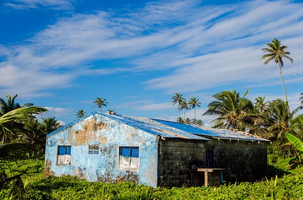 Edifício azul danificado em Green Lush Clearing — Fotografia de Stock