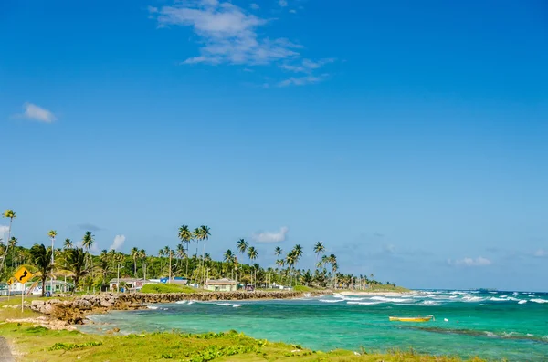 Turkos caribbean bay — Stockfoto