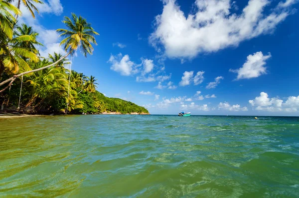 Caraïbische kust weergave — Stockfoto