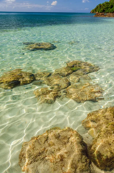 Crystal Clear Water — Stock Photo, Image
