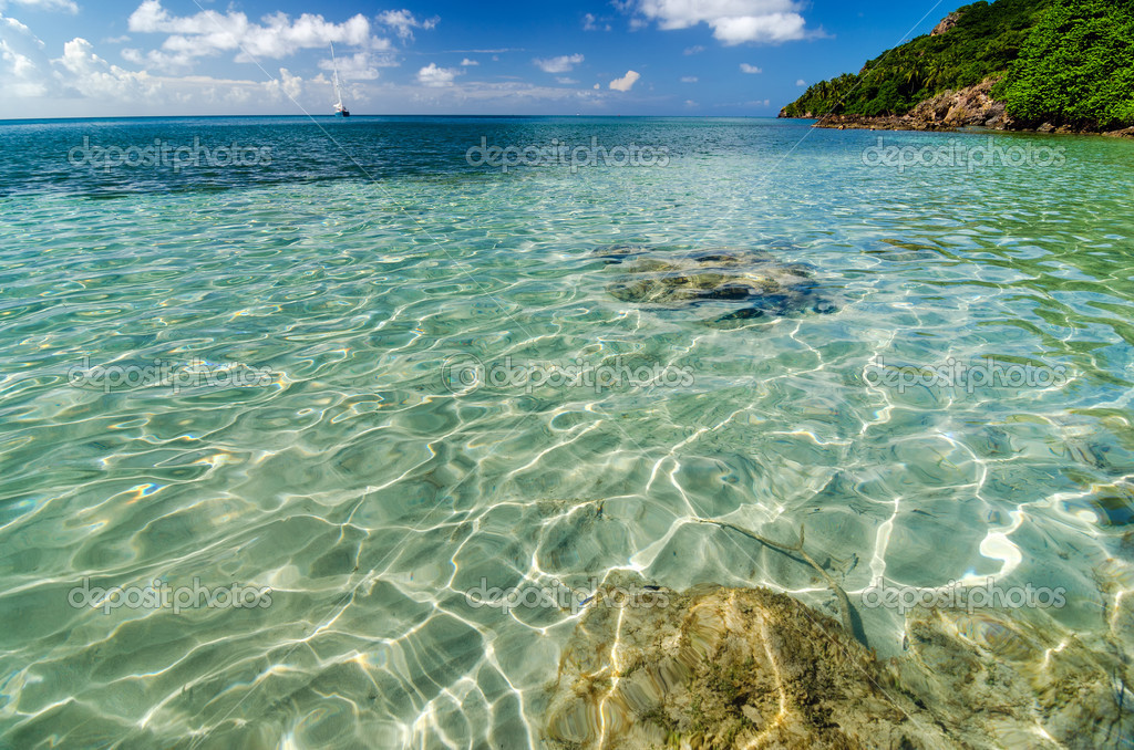 Clear Caribbean Water Stock Photo by ©jkraft5 19288309