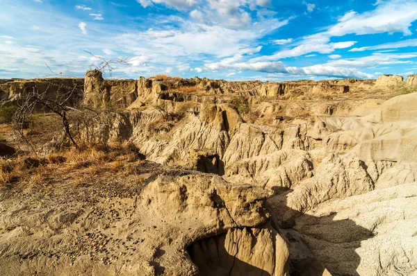 Dry Desert View — Stock Photo, Image