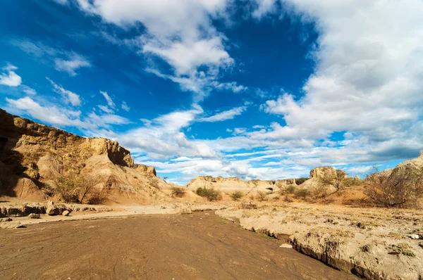 Cama de rio seco — Fotografia de Stock