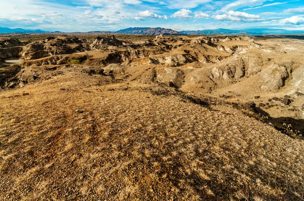 Desert Landscape — Stock Photo, Image