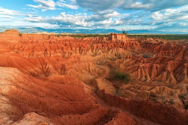 红色沙漠景观 — 图库照片
