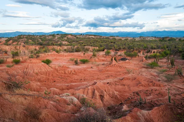 Red and Green Desert Landscape — Stock Photo, Image
