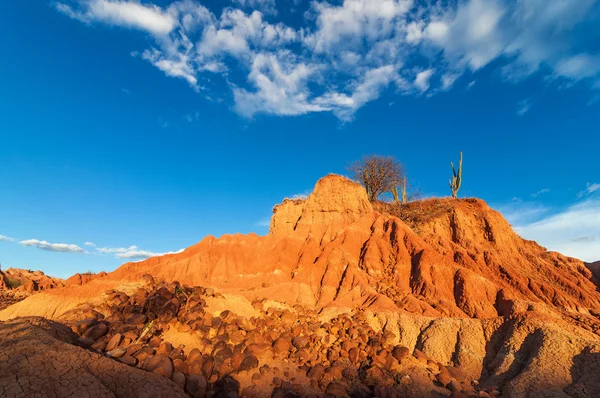 Vörös sivatag és a szétszórt sziklák — Stock Fotó