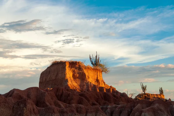 Vista de Closeup de Desert Mesa — Fotografia de Stock