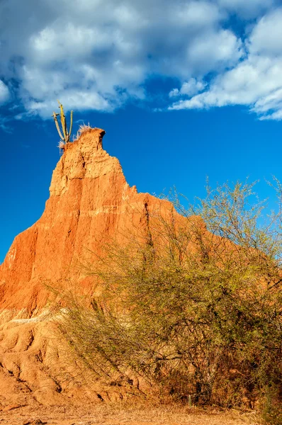 Dry Weathered Rock Formation — Stock Photo, Image