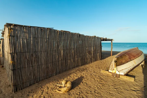 Beach Shack and Canoe — Stock Photo, Image