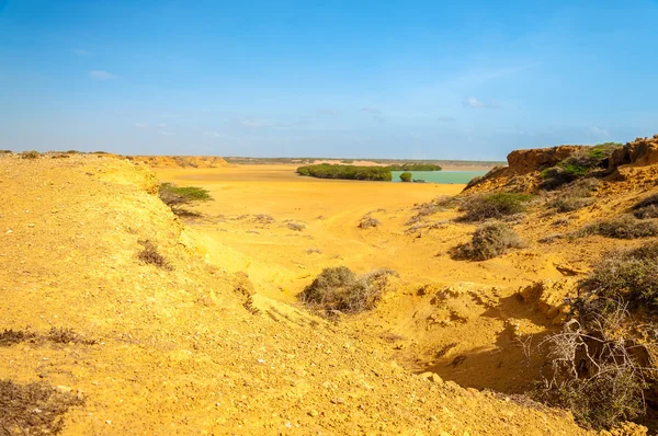 Desert Landscape and Bay — Stock Photo, Image