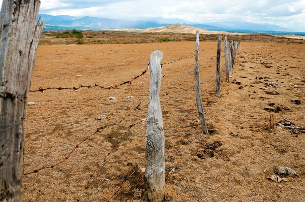 Old Fence Posts — Stock Photo, Image