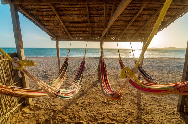 Heldere hangmatten en strand — Stockfoto