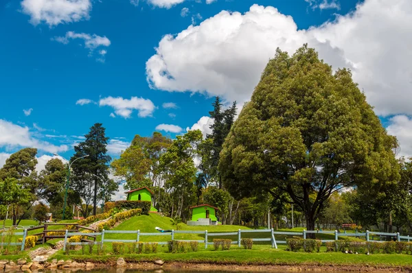 Blick auf den üppig grünen Park — Stockfoto
