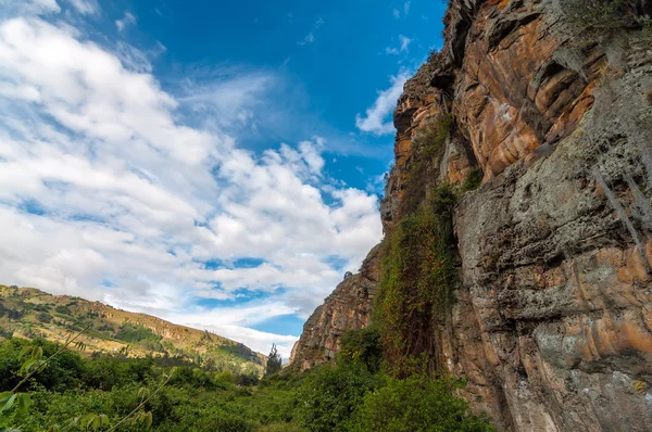 En regardant une falaise — Photo