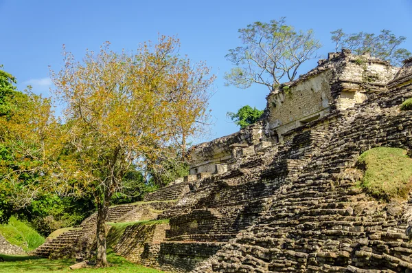 Tempio di Palenque — Foto Stock