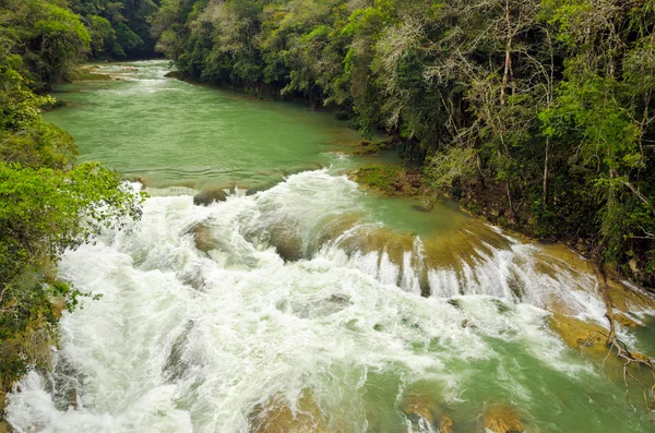 Rapide del fiume verde — Foto Stock