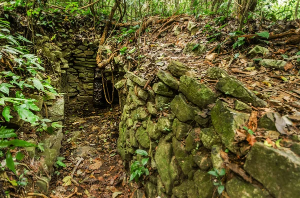 Ruínas da selva — Fotografia de Stock