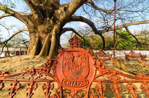 Bench Closeup in Plaza — Stock Photo, Image