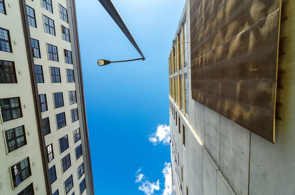 Looking Up in Portland, Oregon — Stock Photo, Image