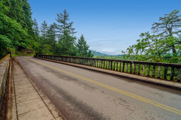 Old Highway and Forest — Stock Photo, Image