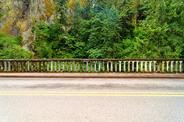 Camino y exuberante bosque verde — Foto de Stock