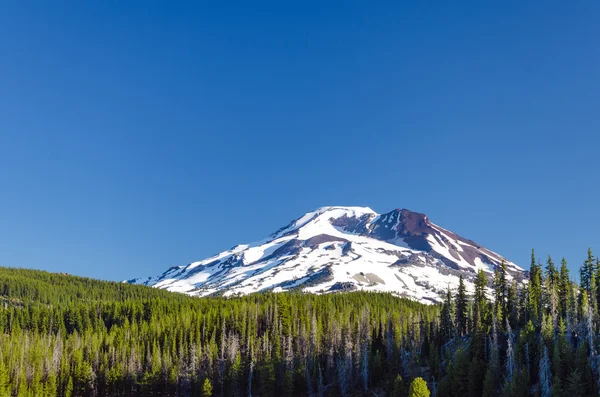 South Sister — Stock Photo, Image